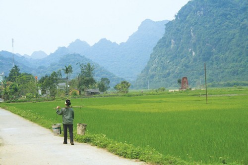 Viet Hai: un village authentique de Cat Ba - ảnh 3